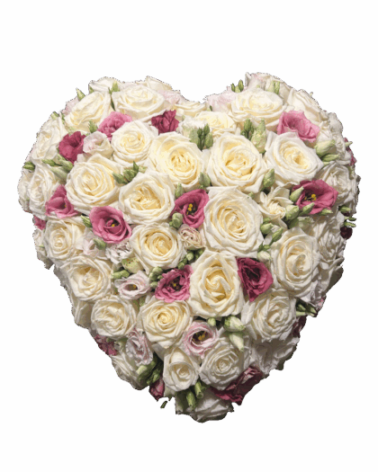 Rouwhart dicht wit - oud roze